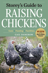 80320_chicken_boook.gif