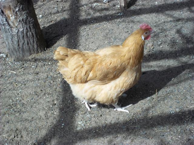 80445_102_0613.jpg
