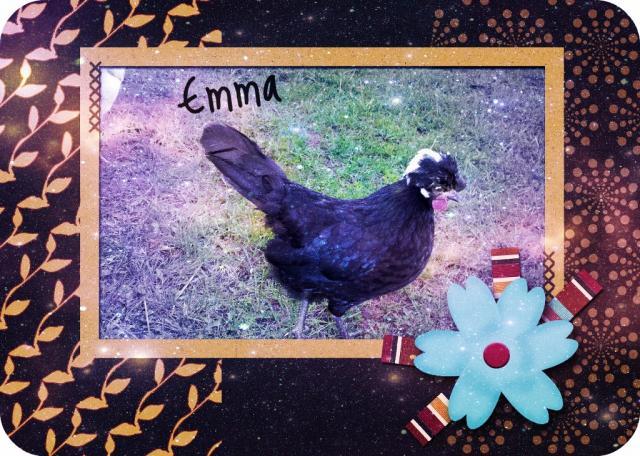 80445_emma.jpg