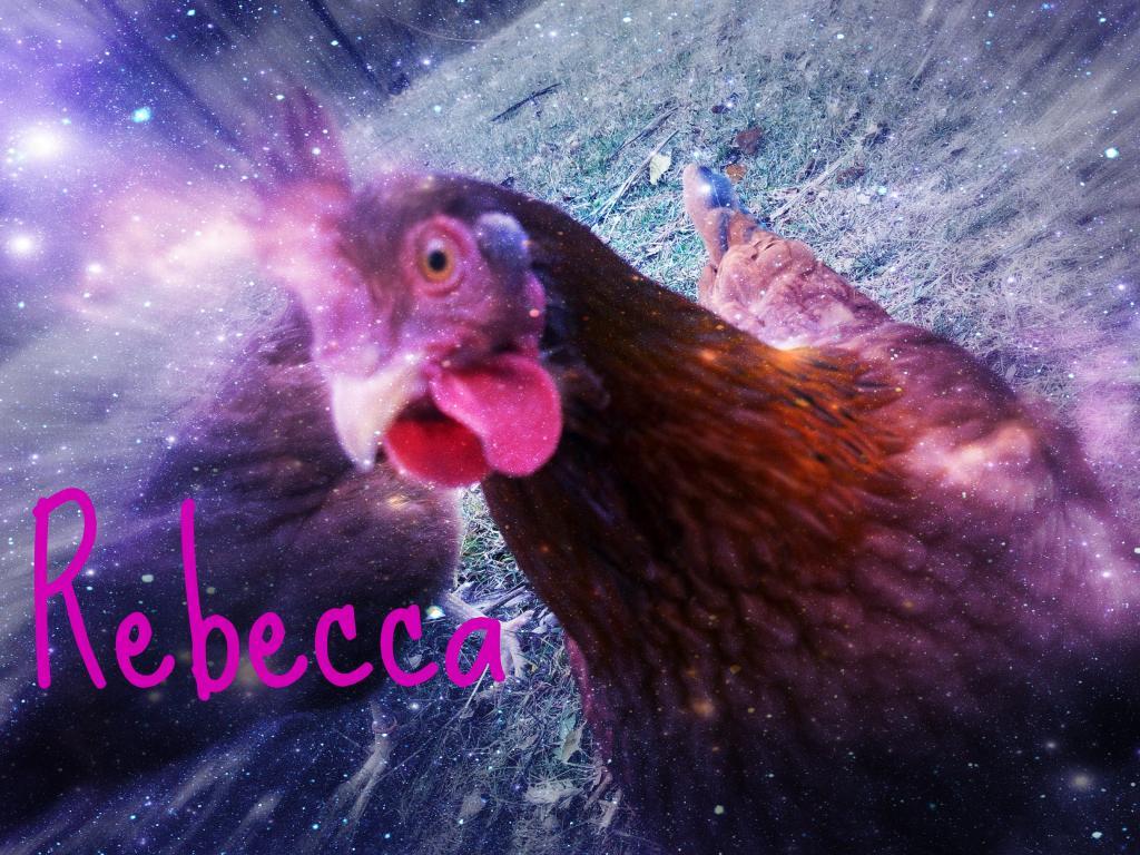 80445_rebecca.jpg