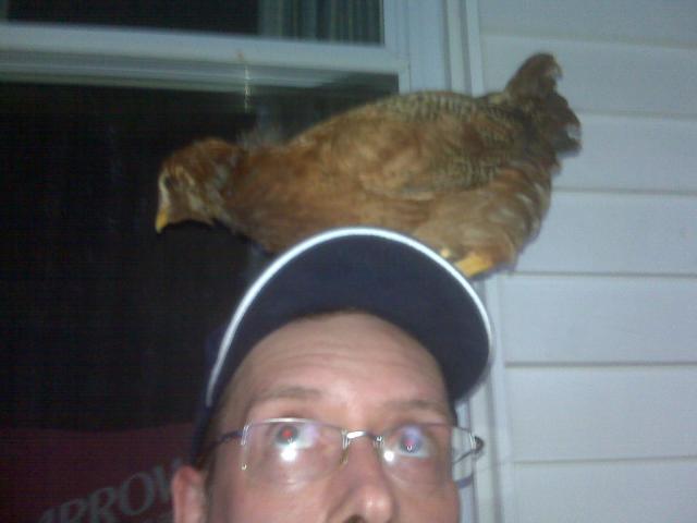80646_chickhead.jpg