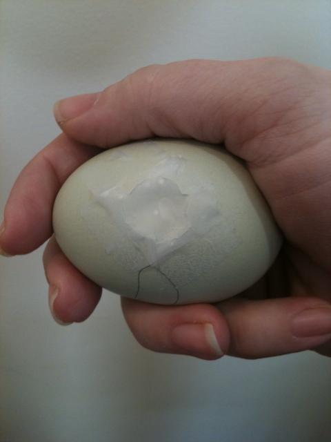 80702_crackedegg.jpg
