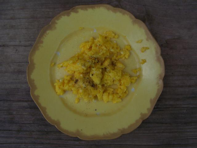 80743_firstegg-8-13-2011-3.jpg