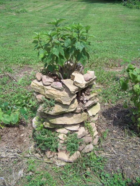 80743_stonepillar2011.jpg
