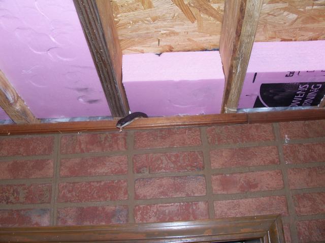 8074_100_2932.jpg