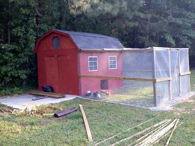 80837_20110501084654.jpg
