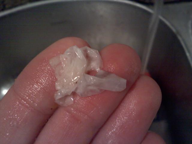 80837_egg_plastic.jpg
