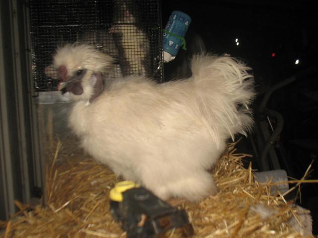 80875_img_7770.jpg