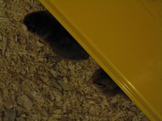 80987_img_6722.jpg