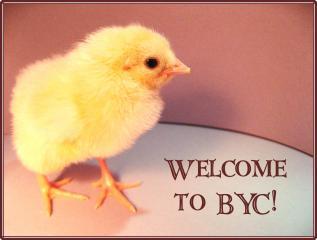 80987_welcome_to_byc_2.jpg