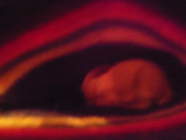 81272_103_2605.jpg