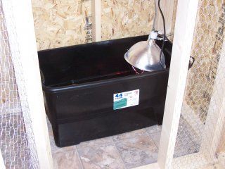 8129_picture_019.jpg