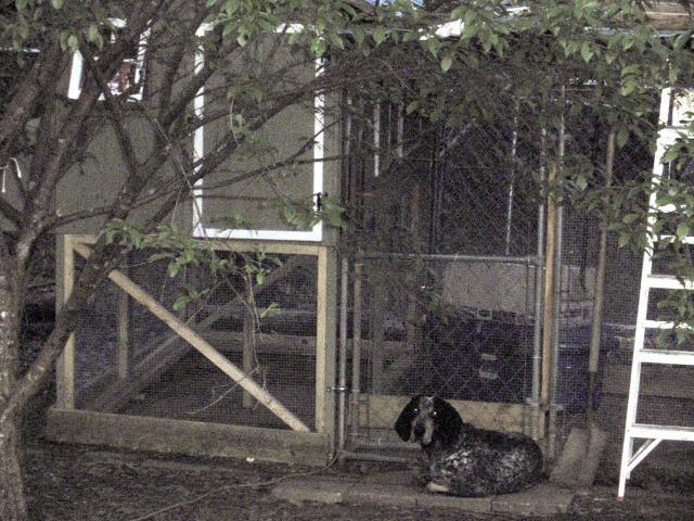81420_p4060002.jpg