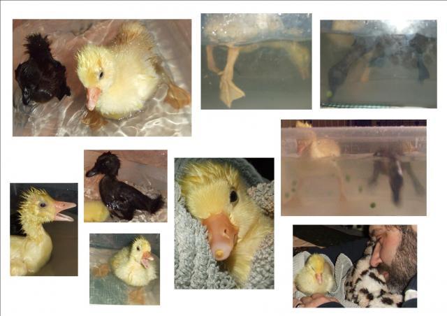 81478_bath_time_fun_4-22-2011_2.jpg
