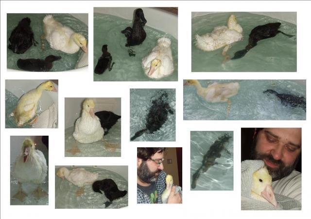 81478_bath_time_fun_4-22-2011_8.jpg