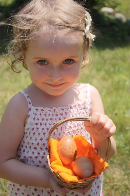 81556_summer_11_751.jpg