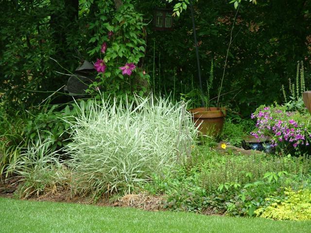 8175_dscf1074.jpg