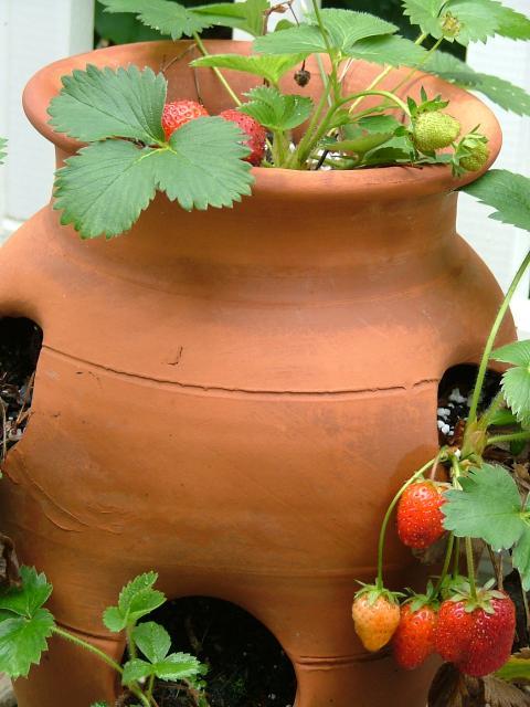8175_dscf1091.jpg