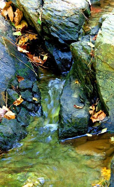 8175_picnic_and_hike_062.jpg