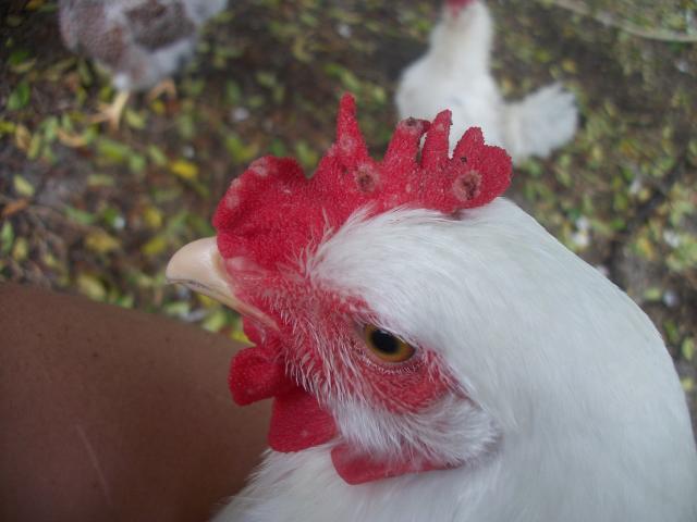 81805_camera10_9_036.jpg