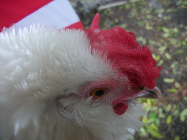 81805_camera10_9_037.jpg