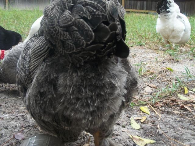 81805_camera10_9_052.jpg