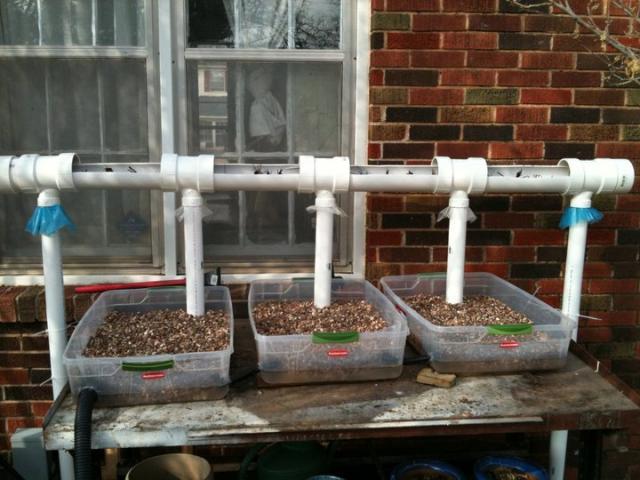 81893_grow_trays.jpg