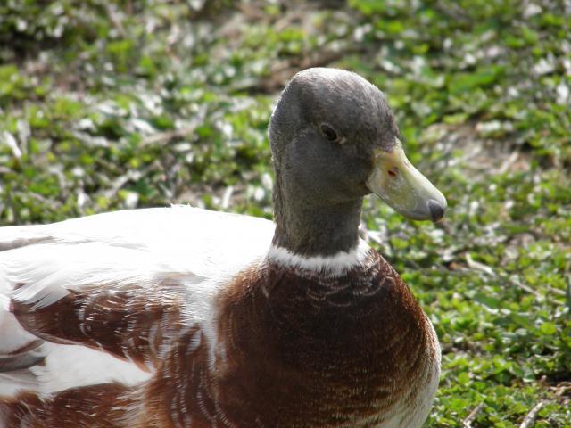 81987_4-24-11_159.jpg