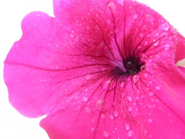 81987_8-11-11_007.jpg