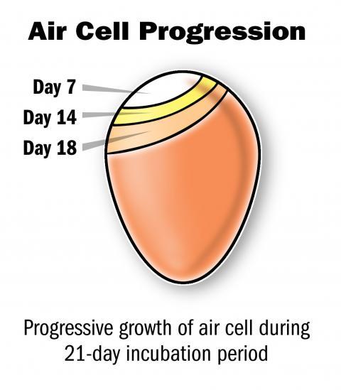 82123_aircellprogress.jpg