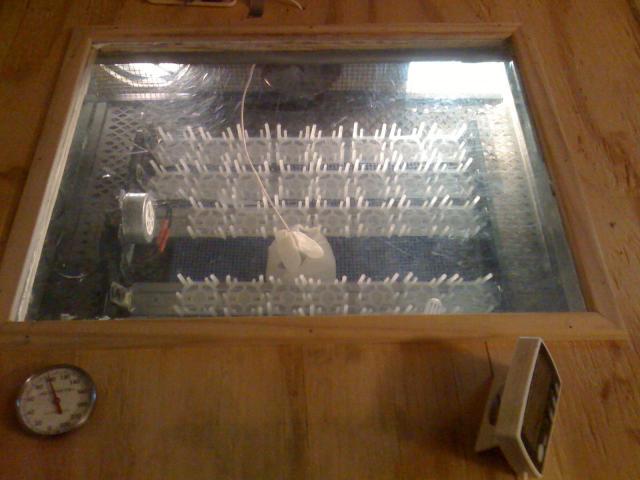 82123_eggturner.jpg