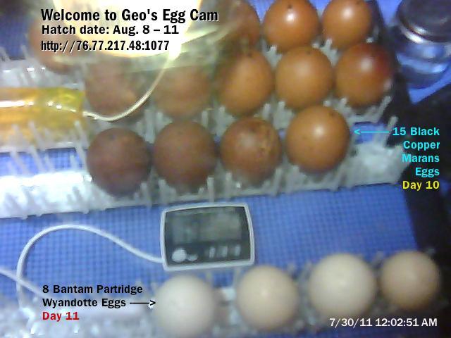 82123_geoseggcam.jpg