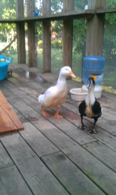 82215_imag0030.jpg