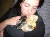 82224_chicks_035.jpg