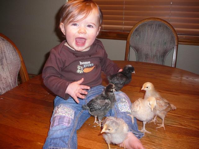 82224_chicks_050.jpg