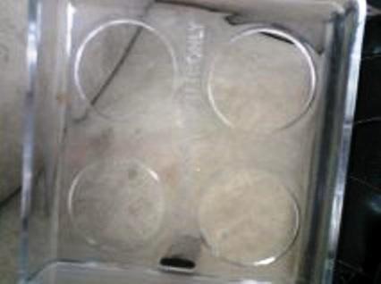 82226_egg_tray_holes.jpg