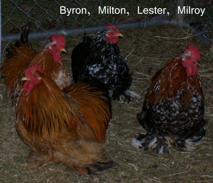 82238_byronmiltonlestermilroy.jpg