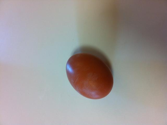 82252_firstegg3.jpeg