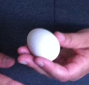 82401_img_1672_closeupofegg.jpg