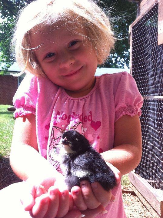 82444_caits_1st_chick.jpg