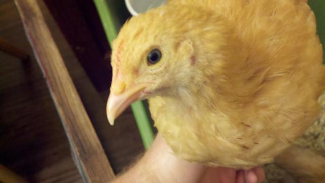 82601_2011-04-14_21-16-19_596.jpg