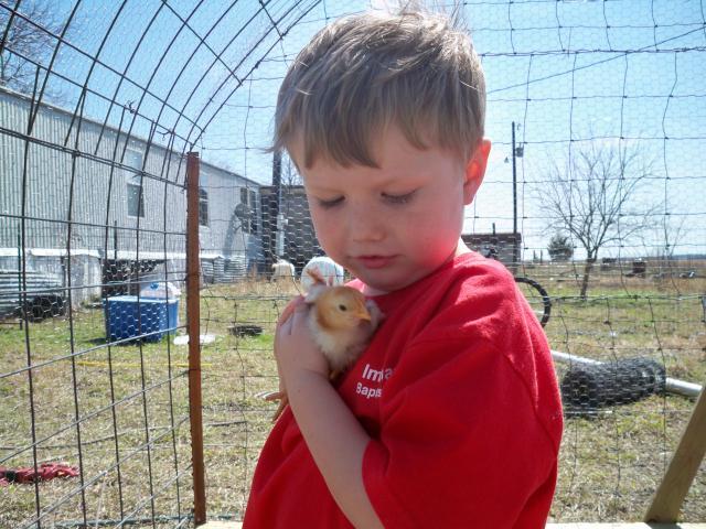 82623_chicks_and_stuff_036.jpg
