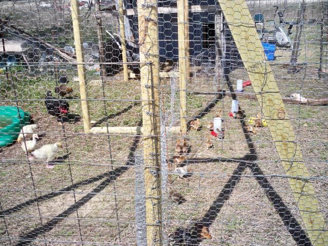 82623_picture_021.jpg