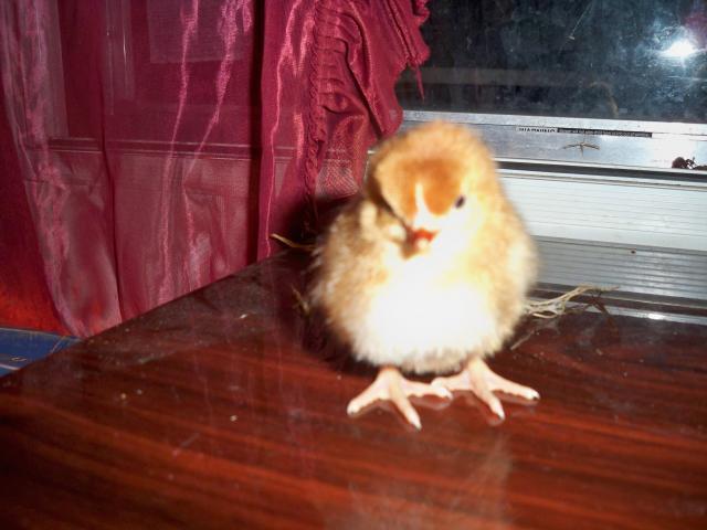 82623_picture_081.jpg