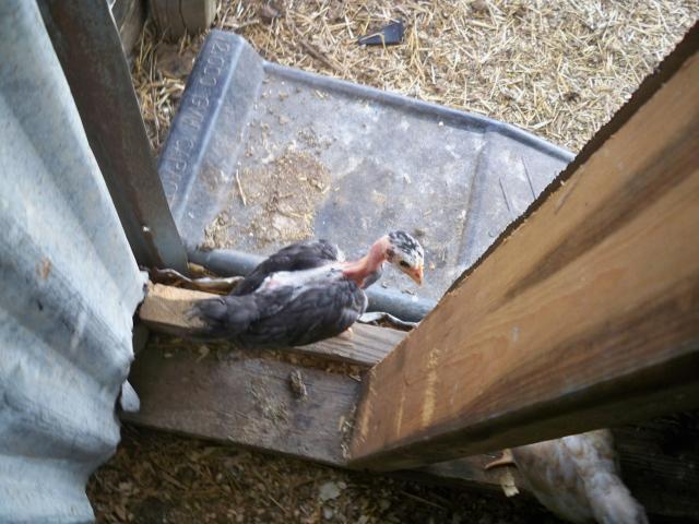 82623_picture_151.jpg