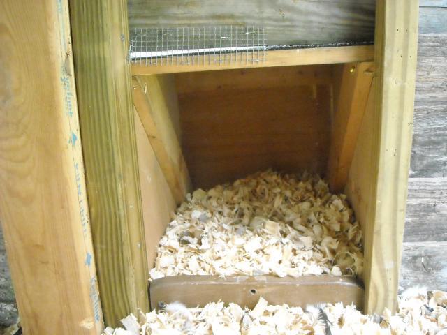 82689_nestboxinsidecoop.jpg