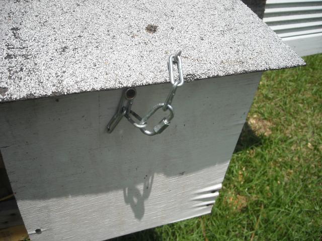 82689_nestboxlatch.jpg