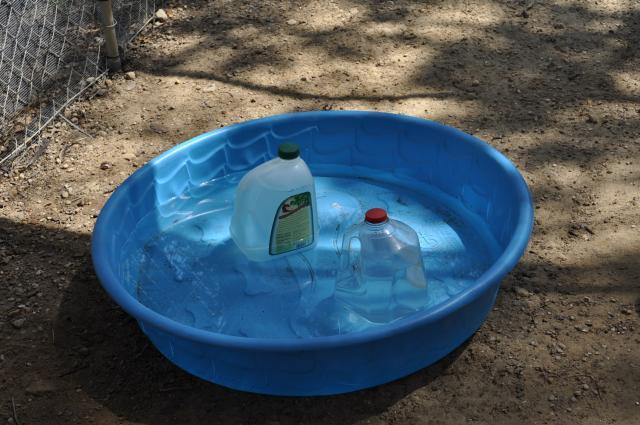 82702_pool.jpg