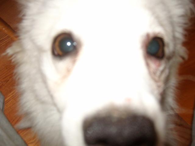 82752_bugs_pics_186.jpg