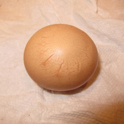 82770_img_0543.jpg